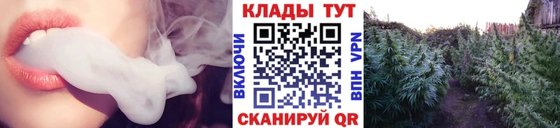 Хочу наркоту Чехов Каннабис  МЕФ  Псилоцибиновые грибы  ГАШИШ  A-PVP 
