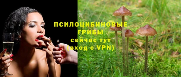 мяу мяу мука Баксан